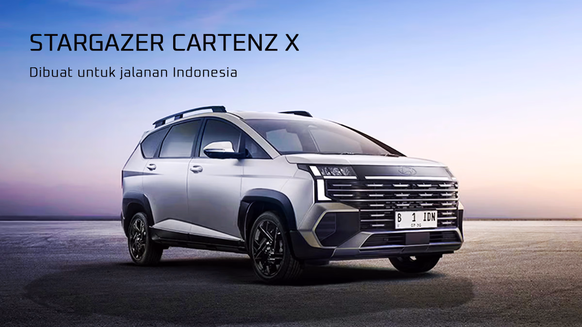 Read more about the article STARGAZER CARTENZ X